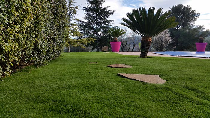 Achat en ligne d’ une pelouse artificielle à Orthez