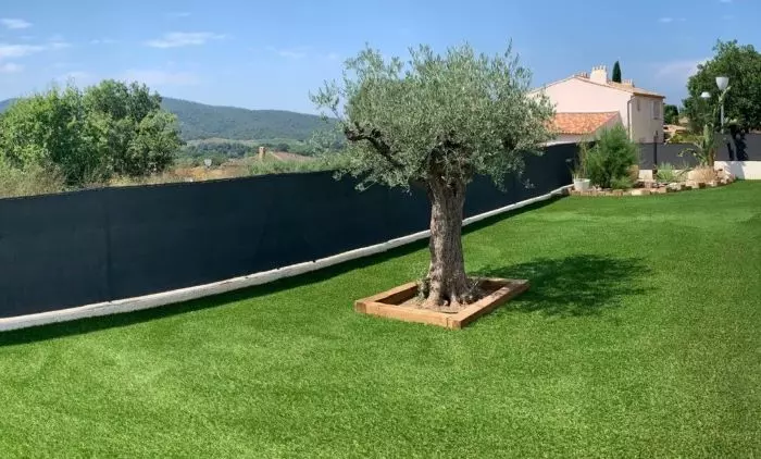 gazon synhetique pas cher à Toulouse illusion d'une vraie pelouse autour d'un jeune olivier