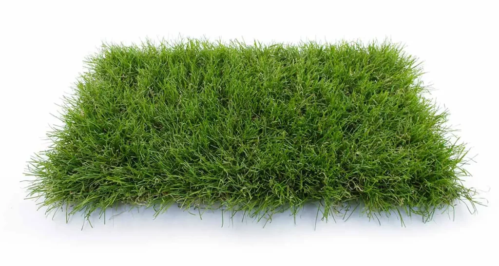 Gazon artificiel vu de dessus - Luxe 50 Azurio en déstockage