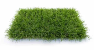 Gazon artificiel vu de dessus - Luxe 50 Azurio en déstockage