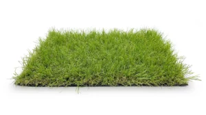 Échantillon de gazon artificiel Cosy 36 mm