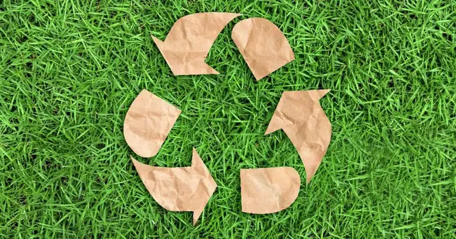 Gazon synthétique : Quels effets sur l'écologie ?