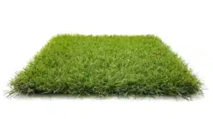 Gazon synthétique Essentiel 40 mm de hauteur de brins