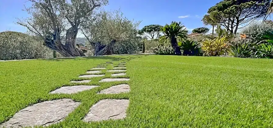 Gazon synthétique et pelouse artificielle autour de pas japonais