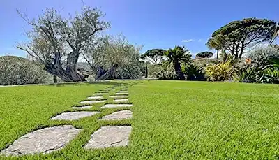 Illustration : Gazon synthétique, pas japonais et dalles