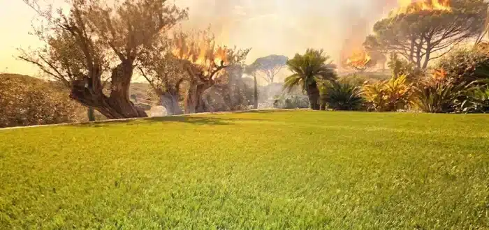 Jardin en feu avec gazon synthétique : Quels risques ?